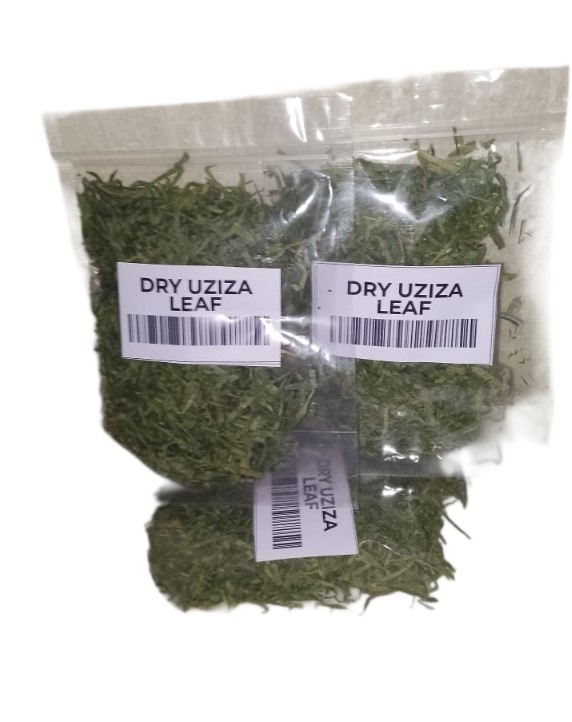 Dry Uziza leaf